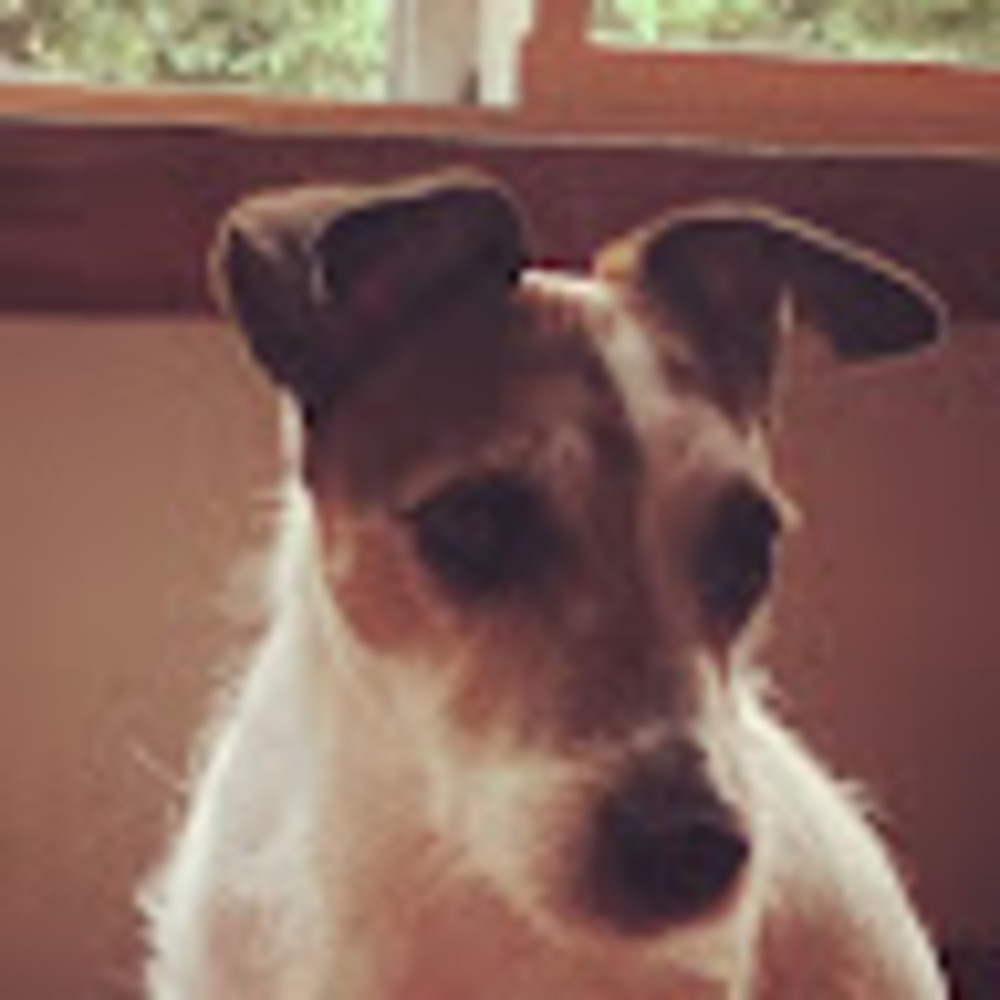 Meet your Posher, April